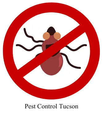 pest control tucson