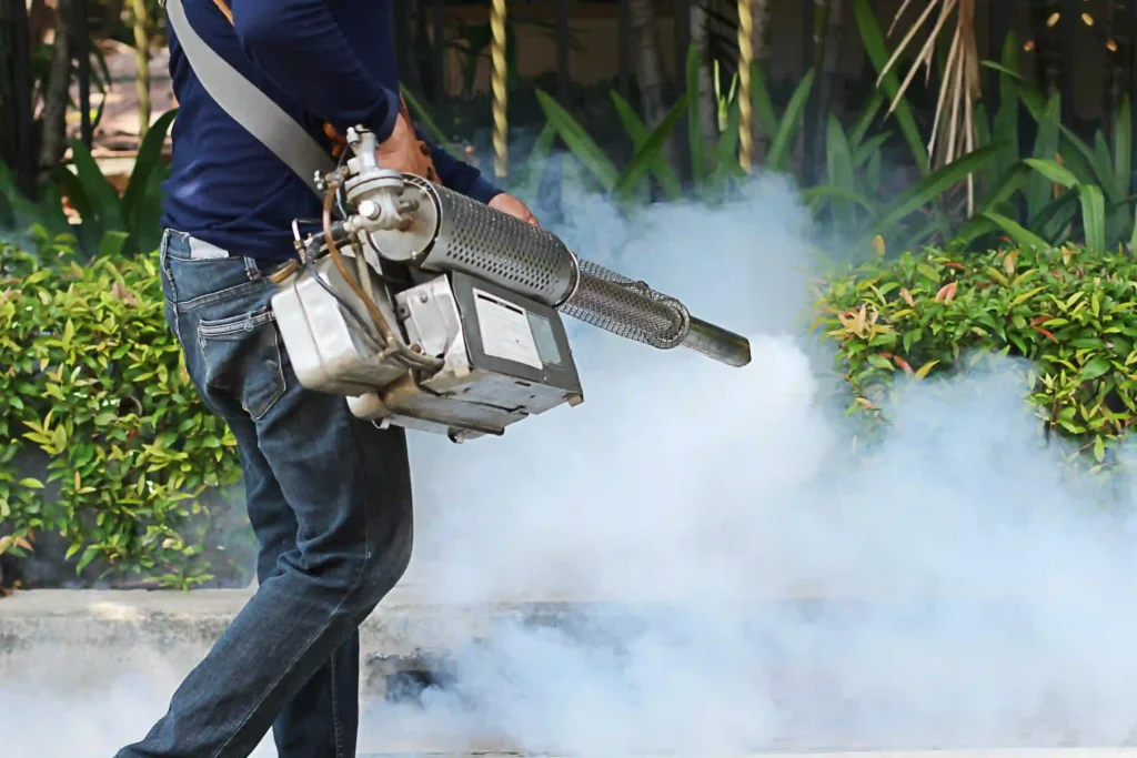 Affordable Mosquito Control Options