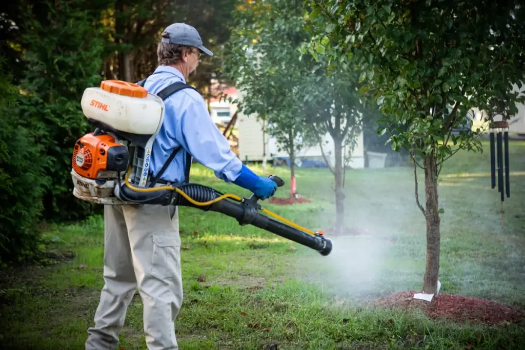 Affordable Mosquito Control Services in Tucson