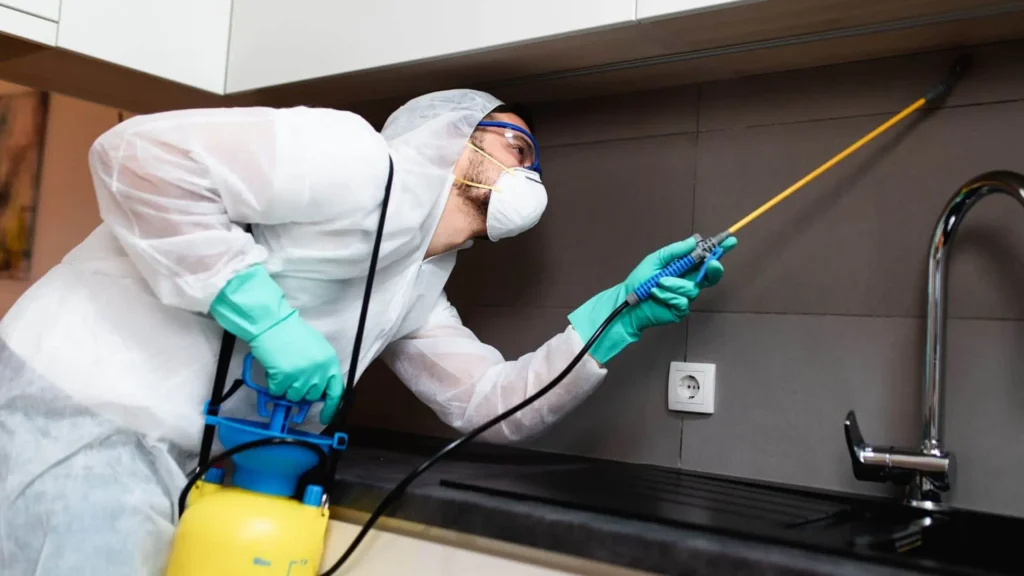 How to Get Rid of Pests in Your Home