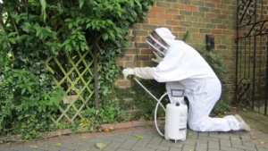 Top Seasonal Pest Prevention Tips Every Homeowner Should