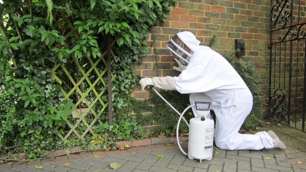 Top Seasonal Pest Prevention Tips Every Homeowner Should